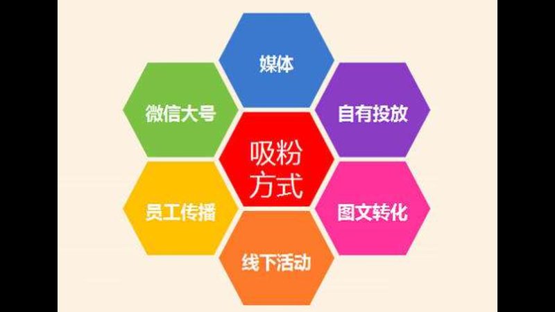SEM竞价托管与SEO排名：两种策略的深度解析