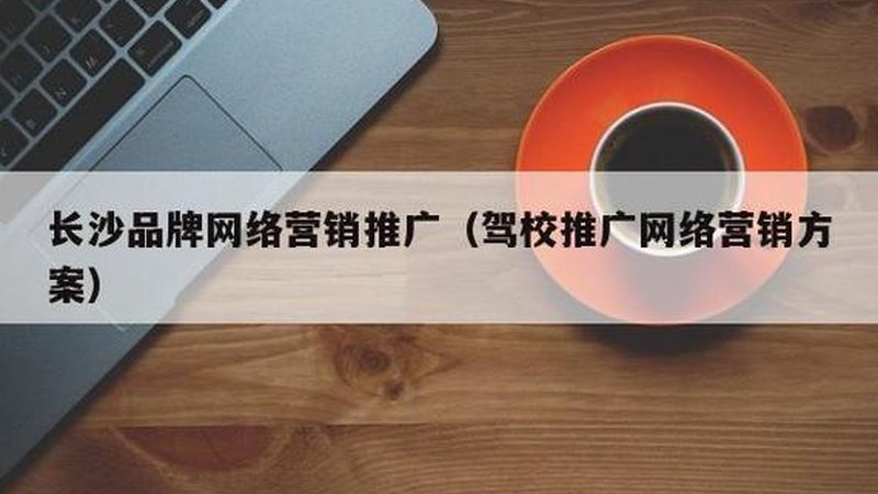做网站推广还是seo好